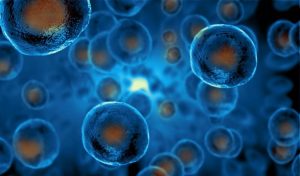 exosomes
