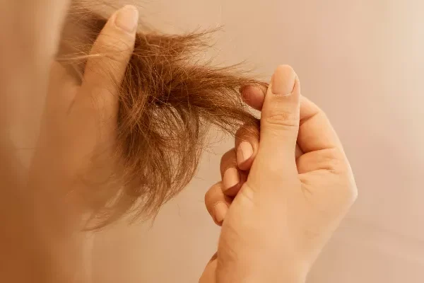 Saç Kırıkları Nasıl Onarılır?